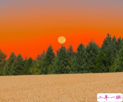 很火趣味的土味自恋文学句子 超级搞笑的调皮自恋文案12