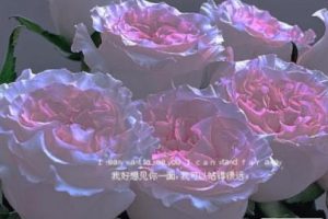 表达自己很爱操心的句子 想发个生活感慨的说说