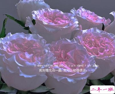 表达自己很爱操心的句子 想发个生活感慨的说说1