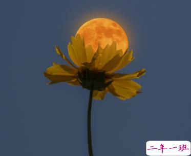 卸下一天的疲惫晚安说说 放下疲倦的正能量晚安语录1