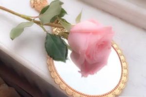 伤感中带有一丝的治愈文案 日出是免费的春夏秋冬也是