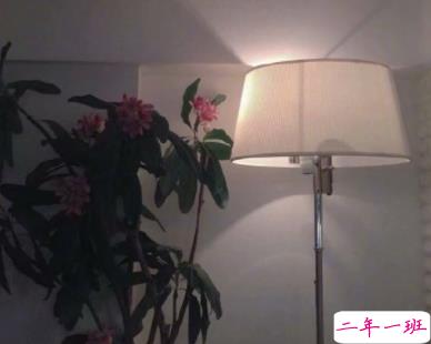 卸下一天的疲惫晚安说说 放下疲倦的正能量晚安语录2