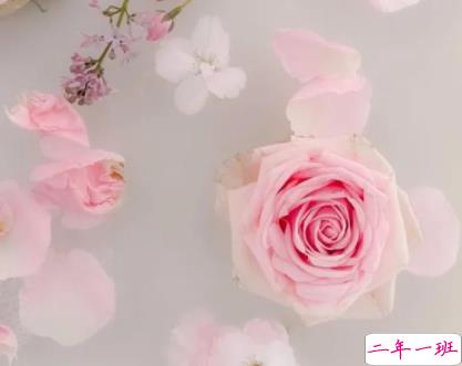 伤感中带有一丝的治愈文案 日出是免费的春夏秋冬也是2