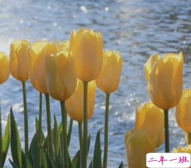 一个人散步的唯美短句 独自一个人散步的朋友圈1