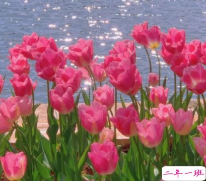 一个人散步的唯美短句 独自一个人散步的朋友圈2