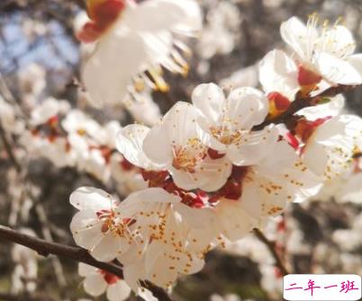 2022春季踏青的微信说说 踏春发朋友圈的唯美句子2