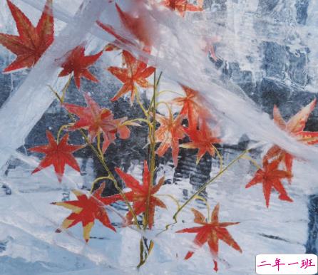 写给家人的温馨晚安语录 素手摘星愿许下满天星空晚安14