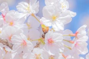 不再忙碌可以放松心情的说说 结束忙碌的好听句子