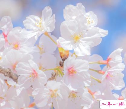 不再忙碌可以放松心情的说说 结束忙碌的好听句子1