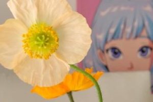 珍惜婚姻珍惜家庭的句子 珍惜婚姻不易的文案