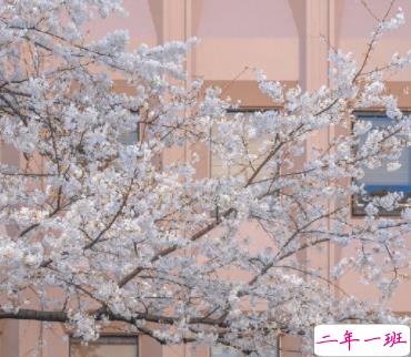 二月再见三月你好心情短句 2022三月你好暖心说说1