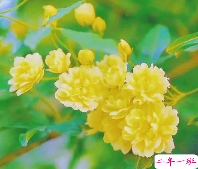 甜甜的又酷酷的朋友圈说说带图片 心情要好人要美生活要嗨4