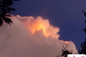 如何幽默的拒绝别人借钱文案 拒绝借钱的搞笑说说