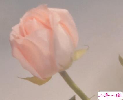 精辟又很内涵的励志说说带图片 同是寒窗苦读怎能甘拜下风8