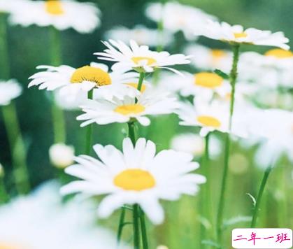 朋友圈关于夏天夜晚的唯美说说带图片 熬三个月奔赴盛夏5