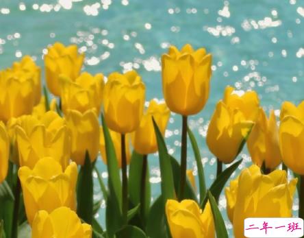 精辟又很内涵的励志说说带图片 同是寒窗苦读怎能甘拜下风10