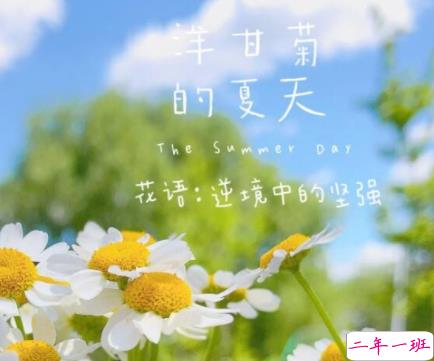 朋友圈关于夏天夜晚的唯美说说带图片 熬三个月奔赴盛夏15