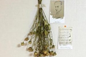 想割双眼皮的搞笑说说 割双眼皮发的搞笑文案