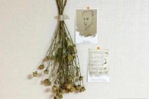 生活充满孤独的文案 孤独且温柔的文案