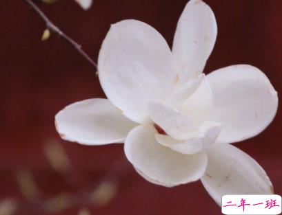 简单又很高级的文案 不超过十字的简单句子1