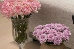 带省份的很高级文案 你在山西也晋我心