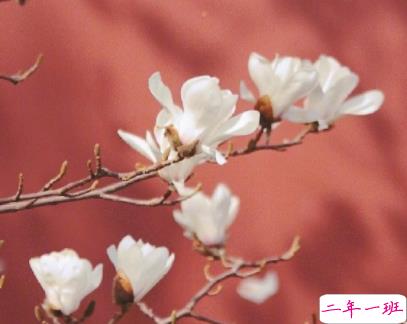 简单又很高级的文案 不超过十字的简单句子2