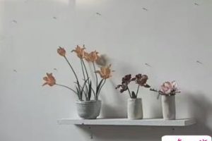 没有自己的房子的心情说说 想拥有属于自己的房子的文案