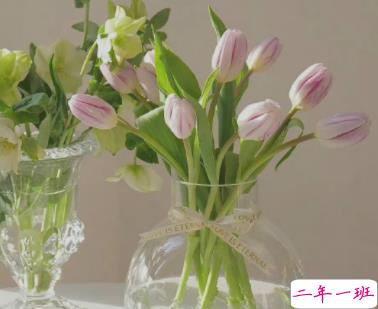 没有自己的房子的心情说说 想拥有属于自己的房子的文案2