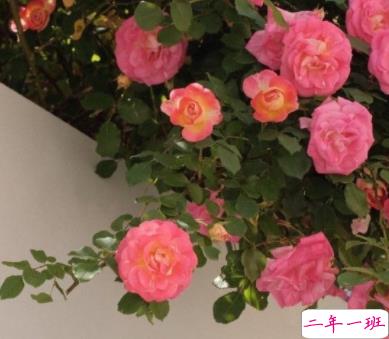 可以让人幡然醒悟的文案 很精辟的有道理的语录2