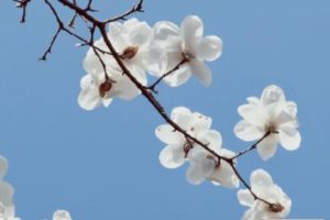 男朋友对自己忽冷忽热的心情说说 感觉男朋友对我冷淡了的说说