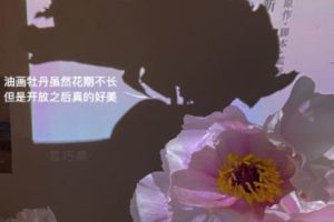 心情越来越好的干净文案 很温柔的又治愈的语录