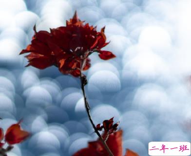 2022异地恋超级暖心的情话 甜蜜又很浪漫的暧昧短句1