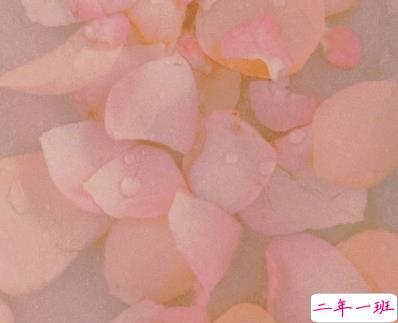 2022异地恋超级暖心的情话 甜蜜又很浪漫的暧昧短句2