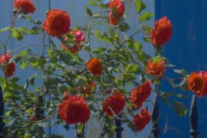 高智商很有创意的撩人情话 适合睡前的撩人情话