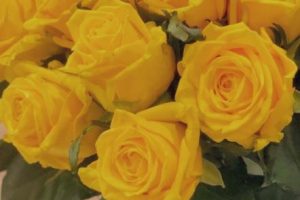 不油腻又很浪漫的情话说说 甜言蜜语情话文案