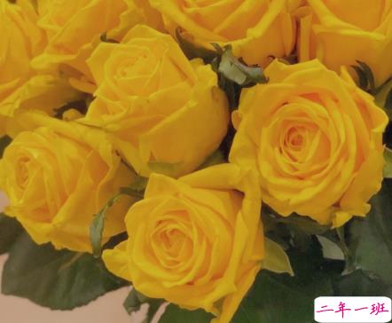 不油腻又很浪漫的情话说说 甜言蜜语情话文案1