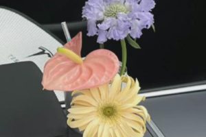 高级情绪人间清醒文案带图片闪闪亮亮的同时也要平平安安