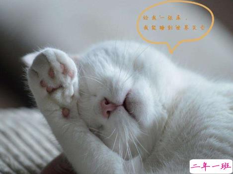 很困但是却不能睡觉的心情说说 困到不行的发朋友圈的短句1