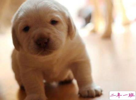 很困但是却不能睡觉的心情说说 困到不行的发朋友圈的短句2