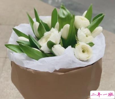 高级情绪人间清醒文案带图片闪闪亮亮的同时也要平平安安10