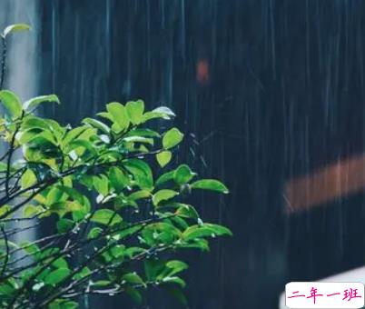 表达雨很大的搞笑说说带图片 像若曦罚跪御花园那天那么大1