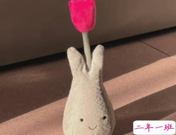 很高级感的文案带图片 要把开心存起来应付苦日子5