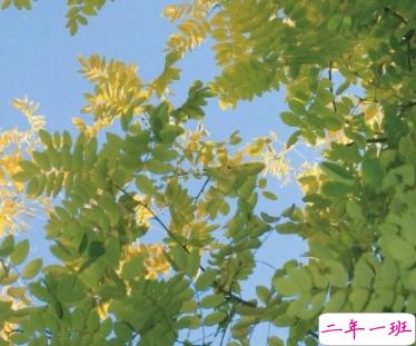 意难平的伤感说说带图片 但愿殊途同归我诣能与你讲讲来时的路3