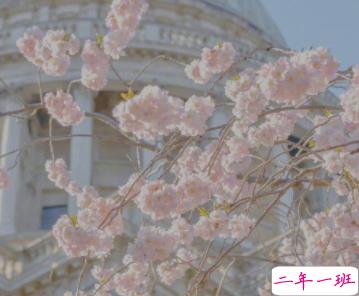 很高级感的文案带图片 要把开心存起来应付苦日子8