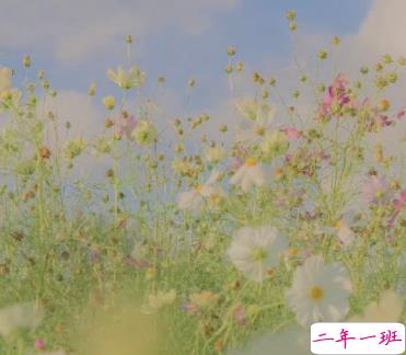 意难平的伤感说说带图片 但愿殊途同归我诣能与你讲讲来时的路6