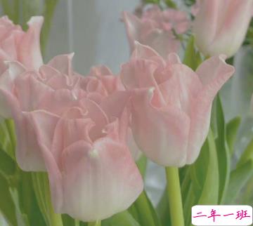 很高级感的文案带图片 要把开心存起来应付苦日子9