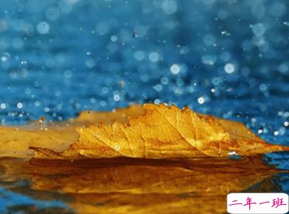 表达雨很大的搞笑说说带图片 像若曦罚跪御花园那天那么大8