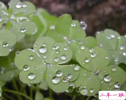 表达雨很大的搞笑说说带图片 像若曦罚跪御花园那天那么大10