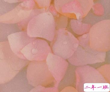 很高级感的文案带图片 要把开心存起来应付苦日子15