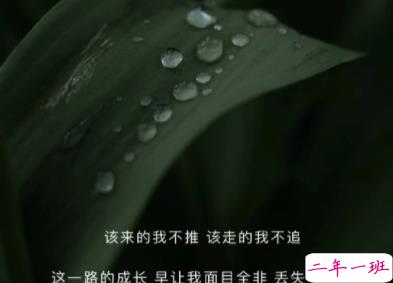 意难平的伤感说说带图片 但愿殊途同归我诣能与你讲讲来时的路13